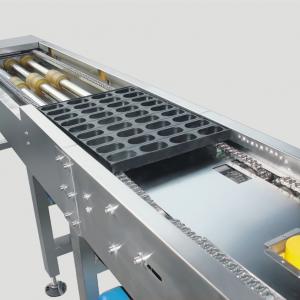 Baking Tray Conveyor Line