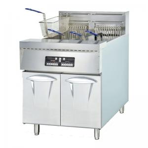 Electric Fryer